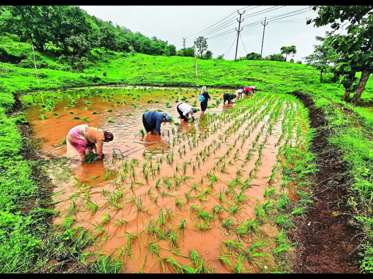 post-image-b12ed0aa-04ec-4ba7-a697-ec2cc3ecede3